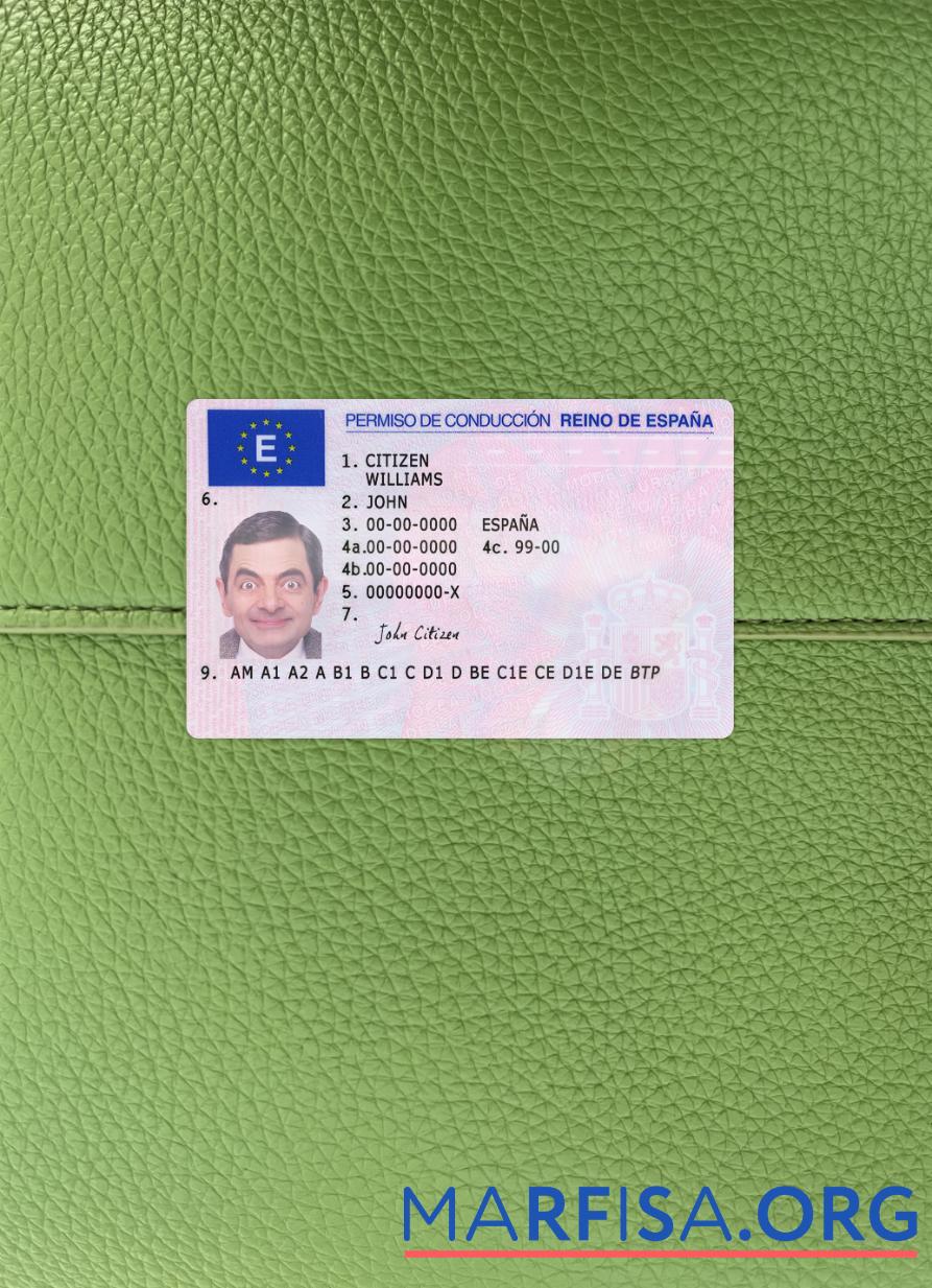 Realistic Spain driving license version 2 photolook download for verification